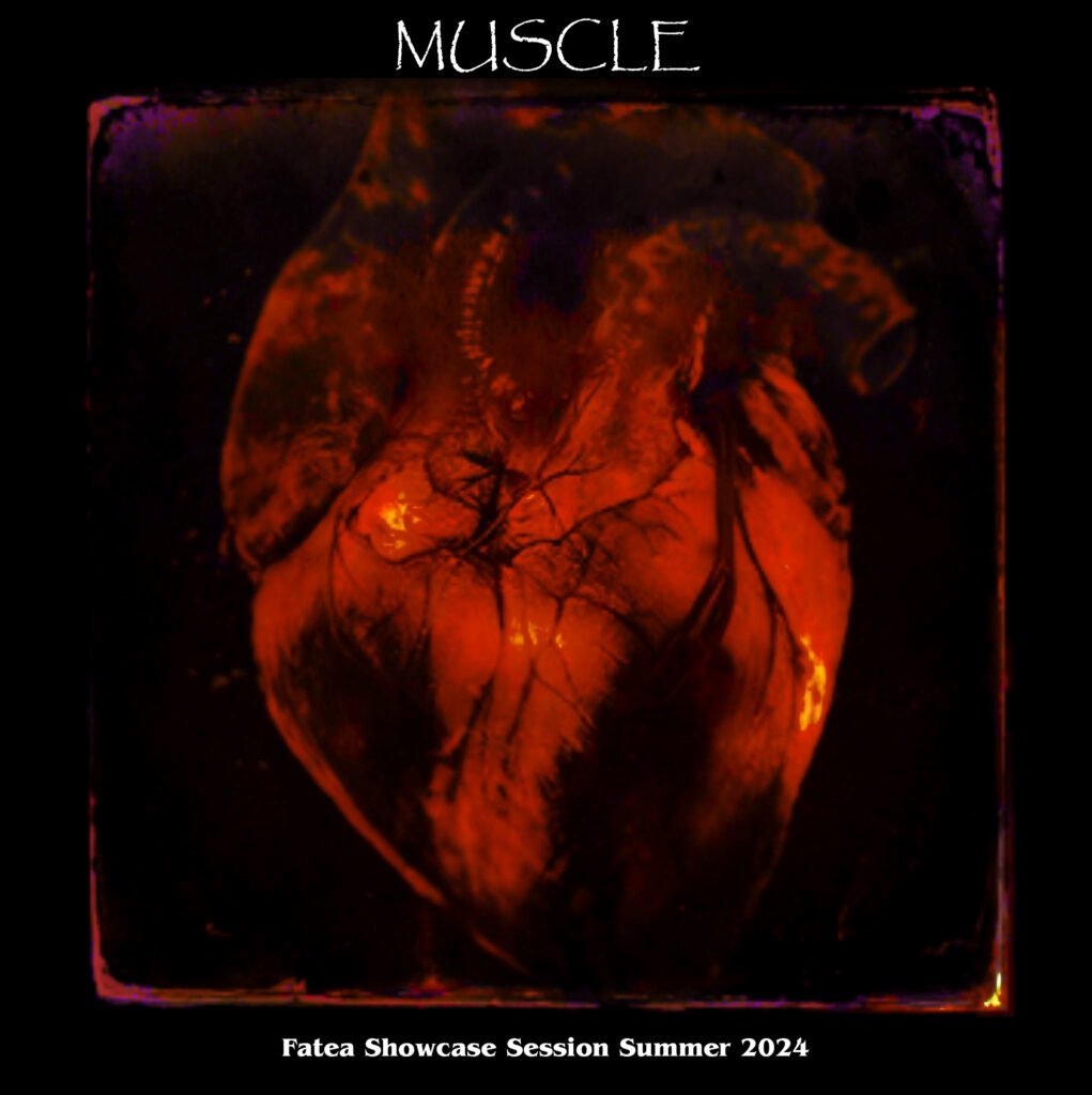 showcase session - muscle